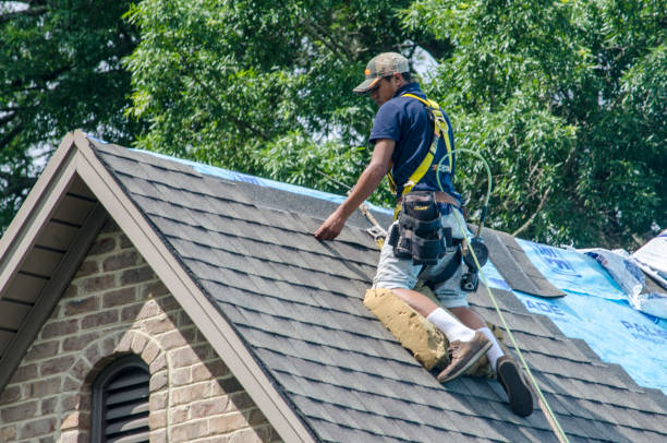 Best Roof Gutter Cleaning  in Woodmere, NY